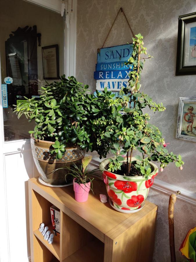 Cameron Court B&B Flamborough Buitenkant foto